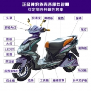 神豹电动车塑件