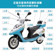 天姿电动车塑件