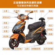 人杰雪狼电动车塑件