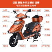 雪龙电动车塑料件