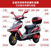 龙沙电动车塑料件