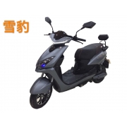 名韵雪豹电动车