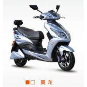 仕杰翼龙电动车