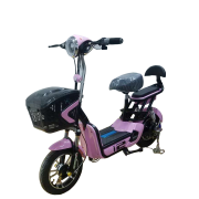 申威小王子电动车