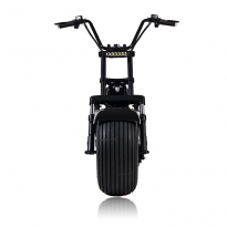 启牛X60哈雷电瓶车成人电动自行车新款双人两轮电动摩托车滑板车